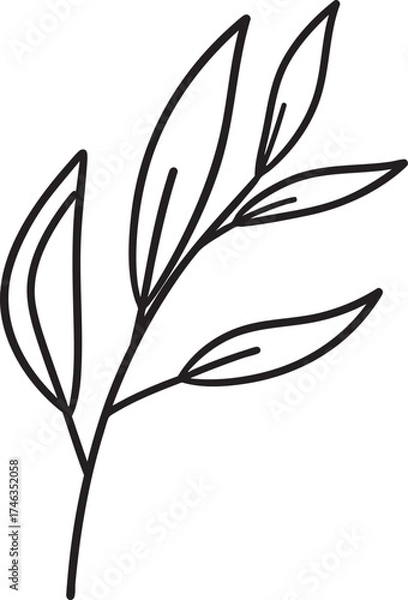 Fototapeta Willow Branch Leaf Silhouette | Black Vector Illustration Design