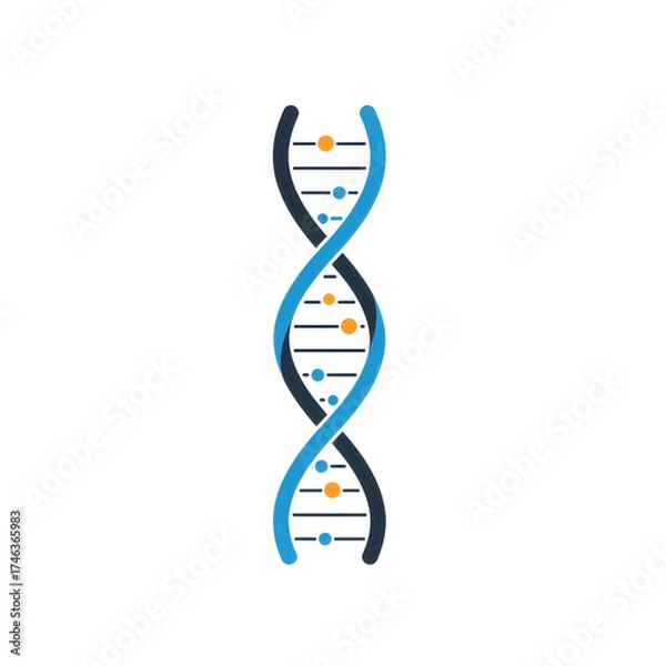 Fototapeta A stylized illustration of a DNA double helix structure against a white background.