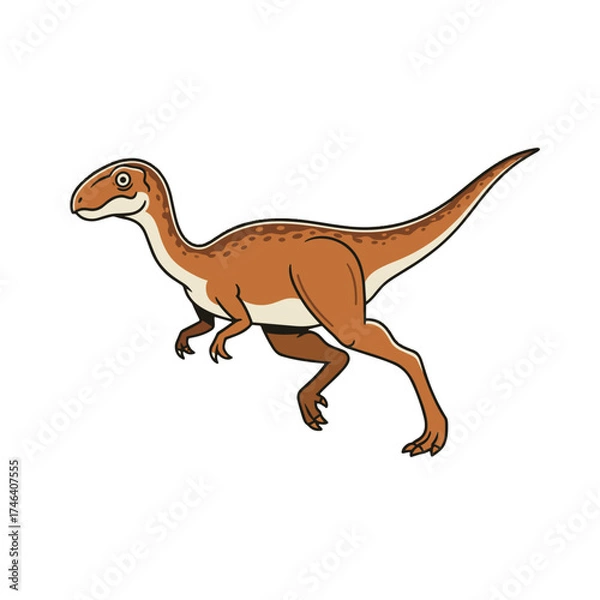 Fototapeta Raptor