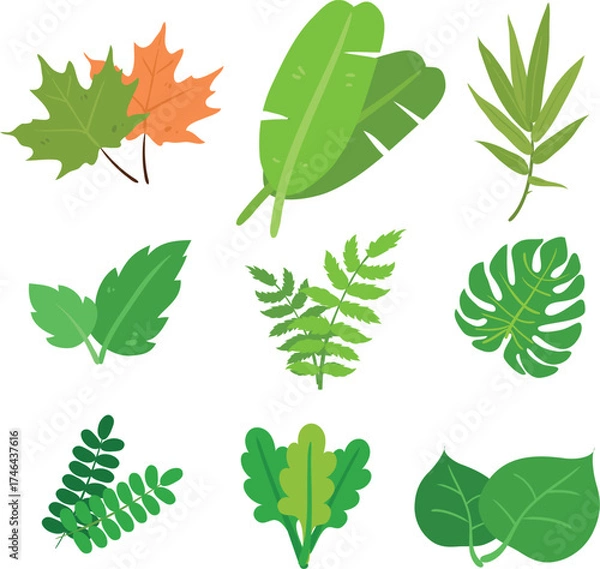 Obraz Monster Leaves