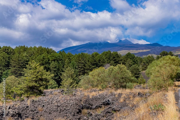 Obraz volcanic landscape of Mount Etna