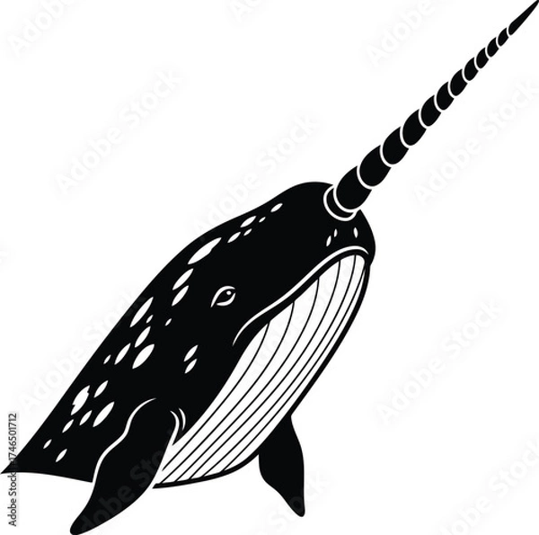 Fototapeta Dynamic Black and White Silhouette of a Narwhal Swimming with Tusk Extended whale marine