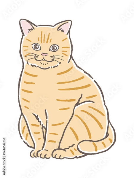 Fototapeta 座る猫