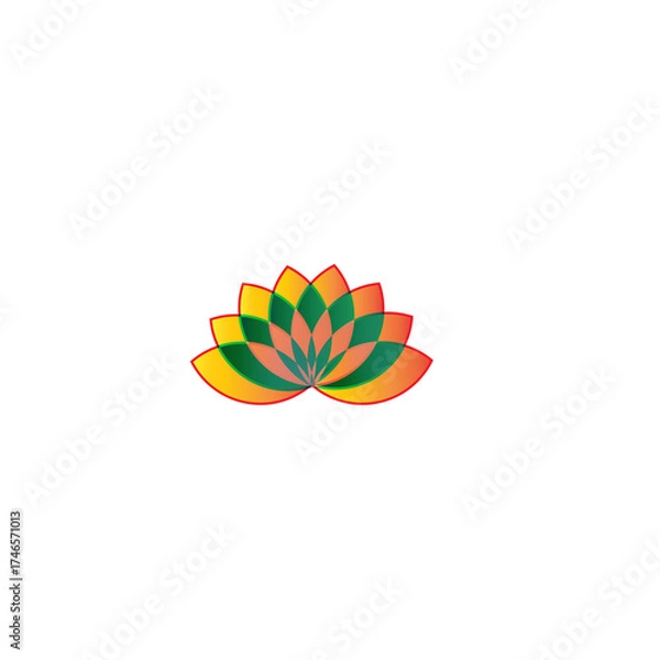 Fototapeta colorful flower on white background