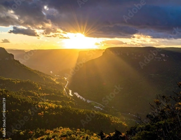 Obraz Majestic golden sunset over a deep canyon with trees