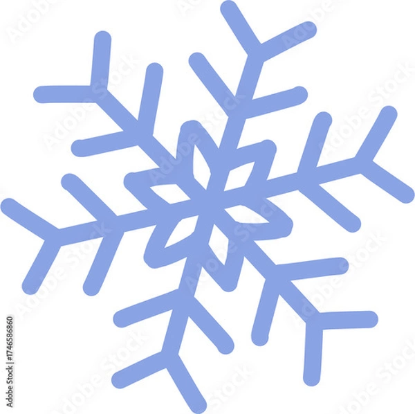 Fototapeta snowflake