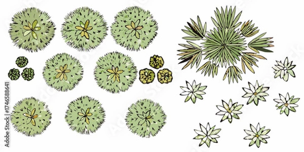 Fototapeta Collection of hand drawn top view plants and trees for landscape design and architectural visualization