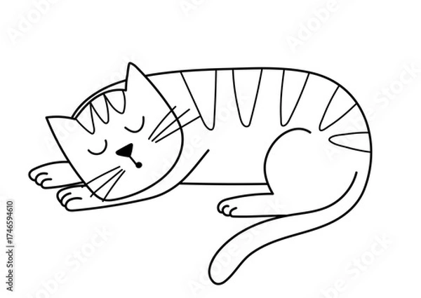 Fototapeta Black and white cat sleeping on the floor. Sweet dreams outline print with a cute feline character. Great for coloring page. Vector illustration