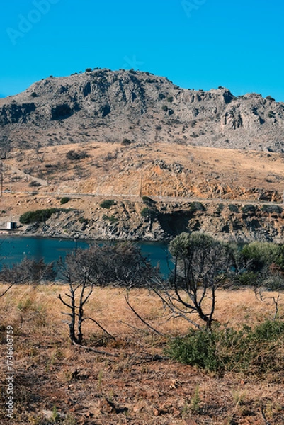 Obraz Rhodes, Greece.