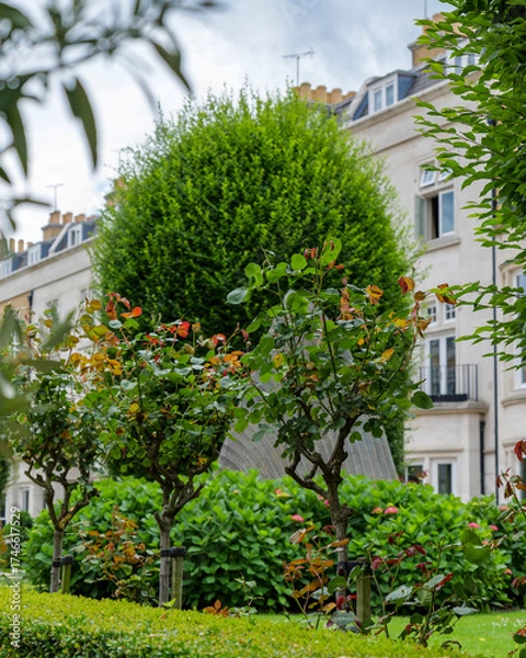 Fototapeta London - 06 24 2022: Flowerbeds and plants in Wycombe Square