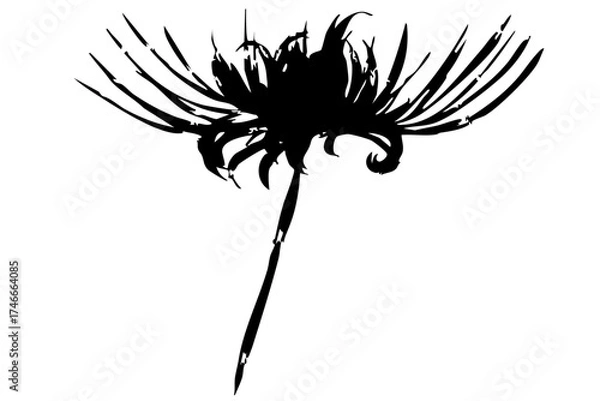 Fototapeta 彼岸花のシルエットイラスト｜曼珠沙華｜秋の花ベクター素材