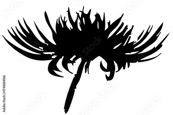 Fototapeta 彼岸花のシルエットイラスト｜曼珠沙華｜秋の花ベクター素材