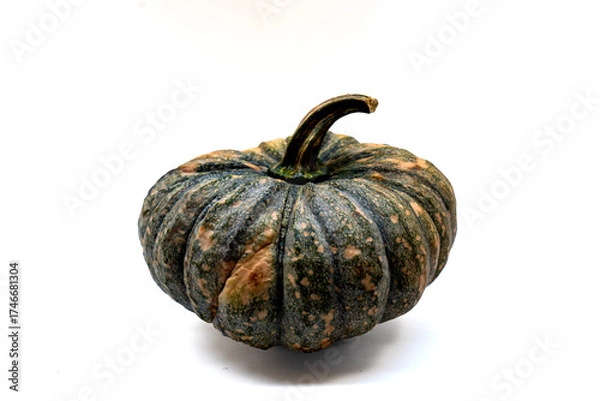 Fototapeta pumpkin on white background