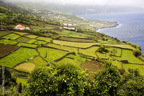 Obraz Azores Island