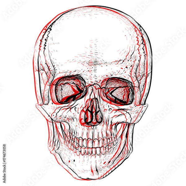 Fototapeta Illusion. Electro skull. Hand-drawn style.