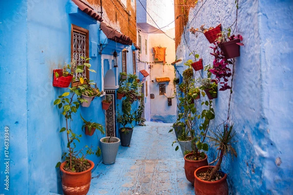 Obraz Beautiful street with flowers in Chefchaouen, Morocco, the Blue city