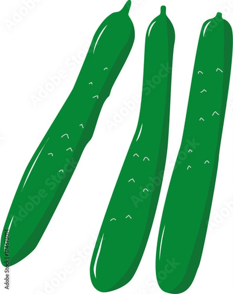 Fototapeta きゅうり