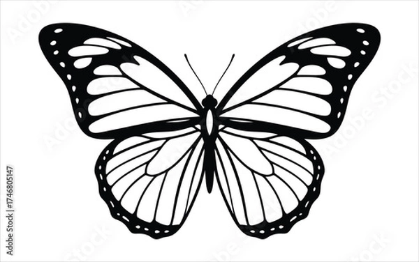 Fototapeta Vectorized Butterfly for print, decoration, Wallpaper, Commercial use, Sketch.