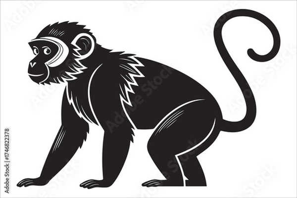 Fototapeta High Quality Black Cat Image in Cinematic Style and Vivid Contrast