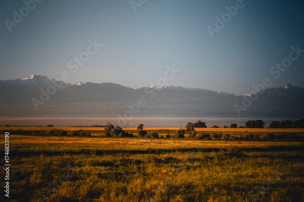 Obraz cows in the morning