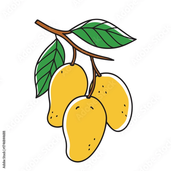 Fototapeta Colorful vector depiction of a mango fruit, showcasing its yellow orange skin and green leaf, doodle line art vector illustration