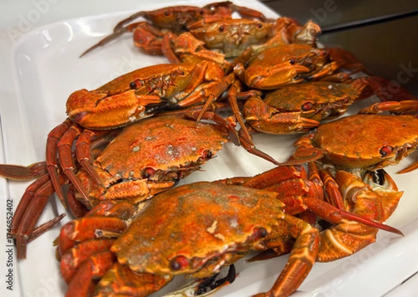 Fototapeta Cooked edible crabs on a white tray on display in a seafood restaurant.
