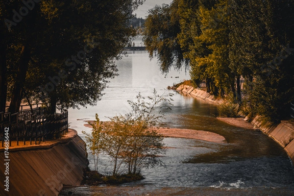 Obraz autumn in the park