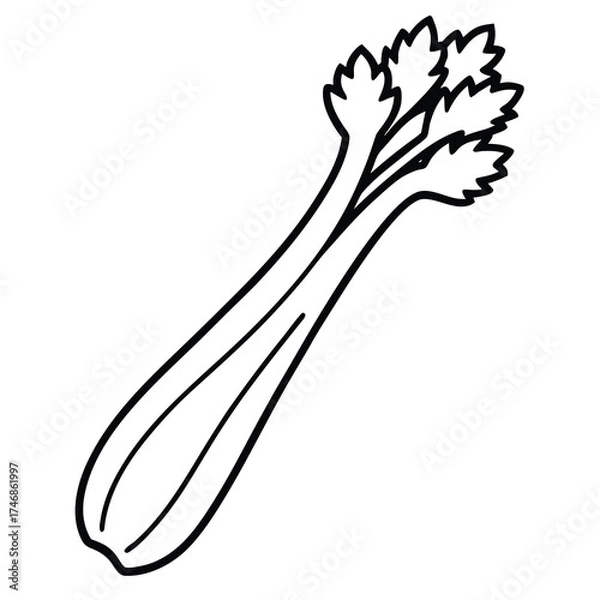Obraz celery vector line art icon
