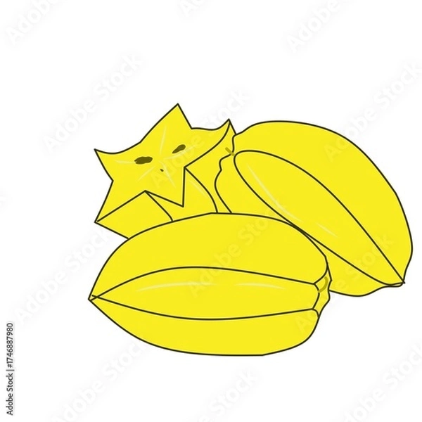Fototapeta star fruit vector illustration