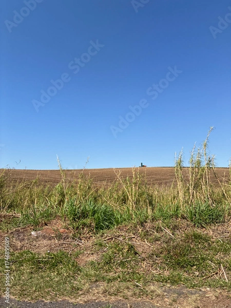 Obraz beautiful rural landscape