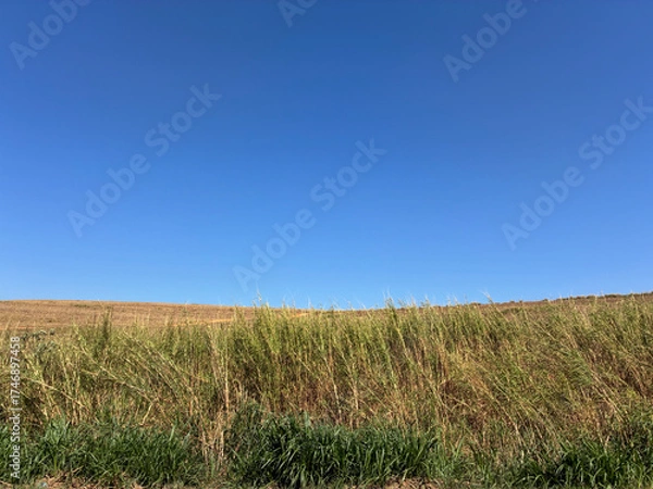 Obraz beautiful rural landscape
