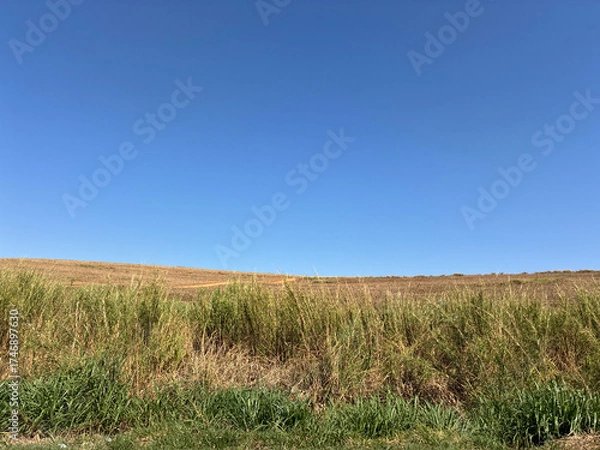 Obraz beautiful rural landscape