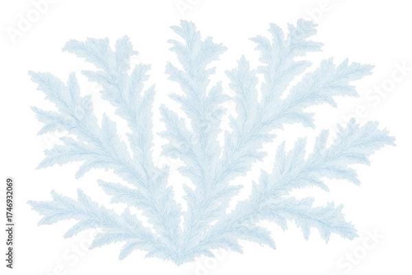 Fototapeta White snowy pine branch on transparent background