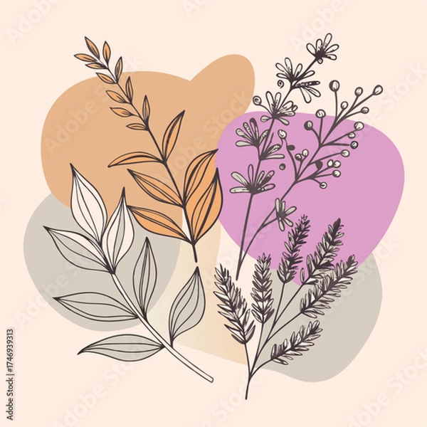 Fototapeta Minimalist herbal design with rosemary and lavender sprigs.