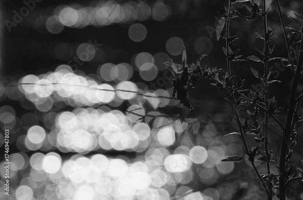 Fototapeta abstract background with bokeh