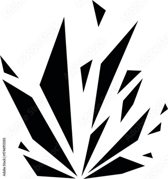 Fototapeta Abstract Black Geometric Explosion