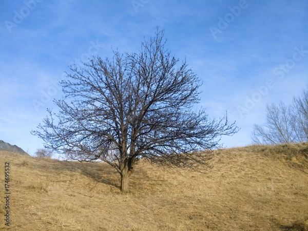 Obraz The Plateau Winter Scene