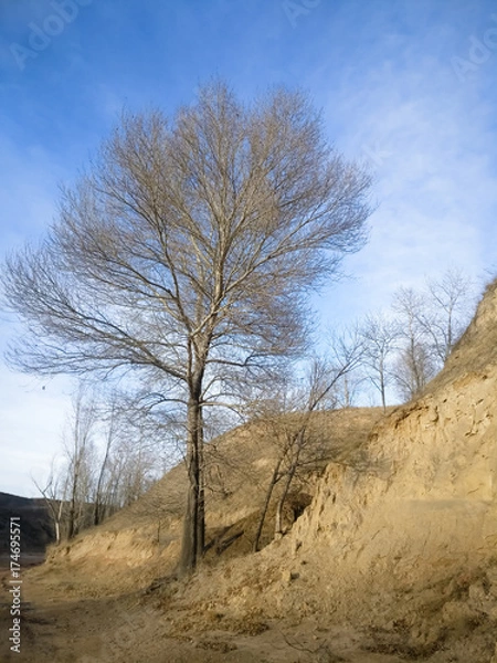Obraz The Plateau Winter Scene