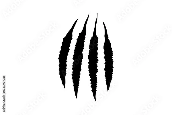 Fototapeta Three black claw scratches isolated on a transparent background. Perfect for Halloween designs, horror themes, and animalistic effects.