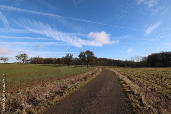 Obraz Spring landscape with a road