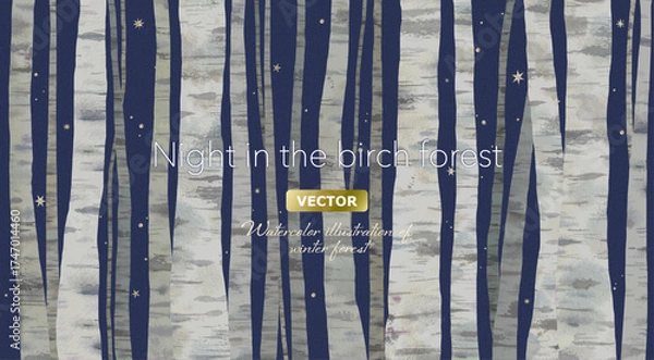 Obraz 星が輝く、夜の白樺林の背景イラスト。（ベクター）