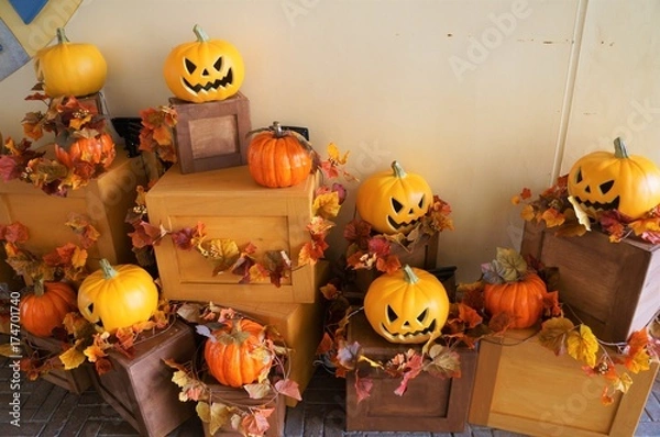 Fototapeta ハロウィーン