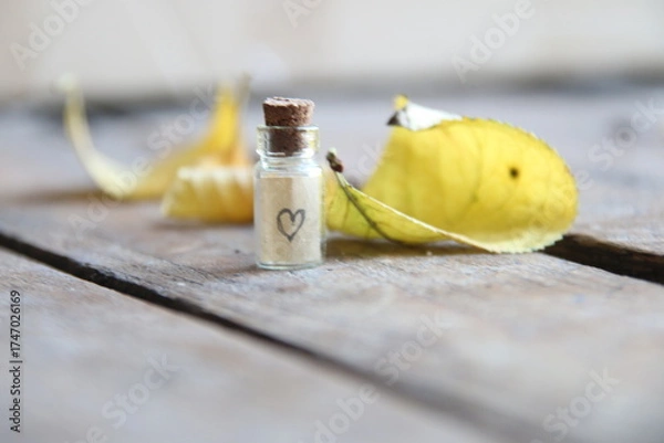 Obraz Its autumn time creative concept.