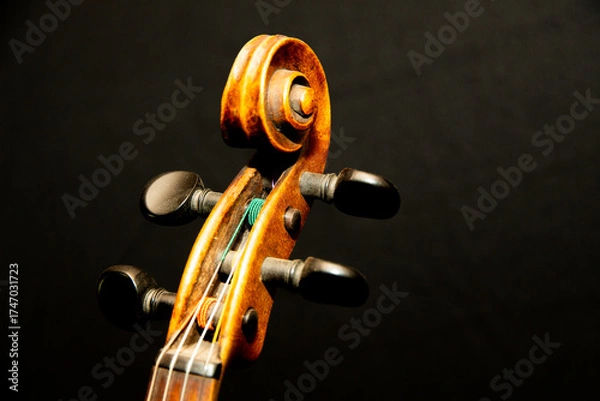 Obraz Schnecke einer Geige