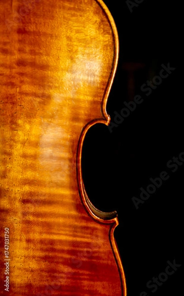 Obraz Streichinstrument