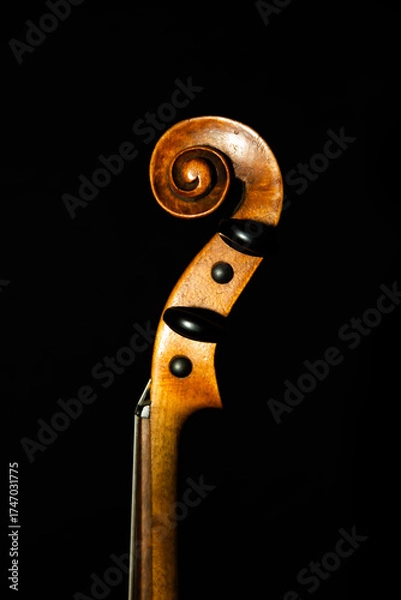 Obraz Schnecke einer Geige