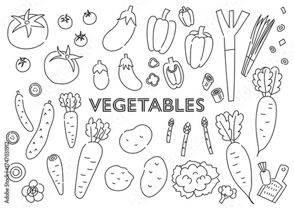 Obraz 野菜の手描きイラストセット