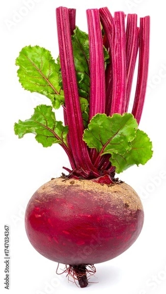 Fototapeta Vibrant beetroot with fresh leaves