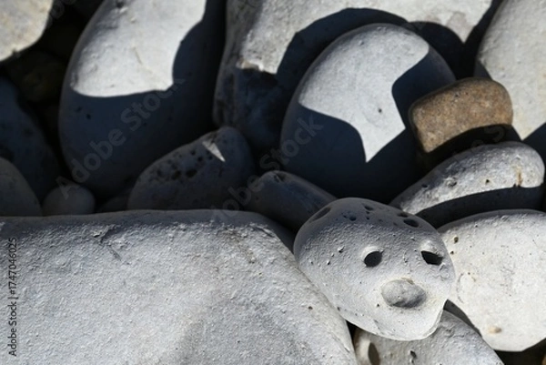 Fototapeta galet bavard