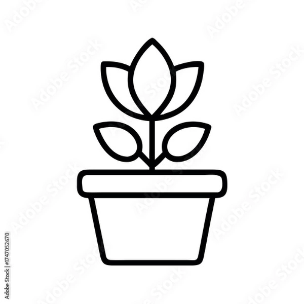Fototapeta Simple outline icon of a blooming tulip plant in a square pot